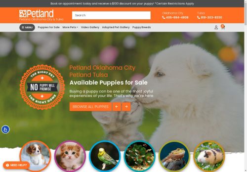 Petland Oklahoma City & Tulsa | Puppies For Sale