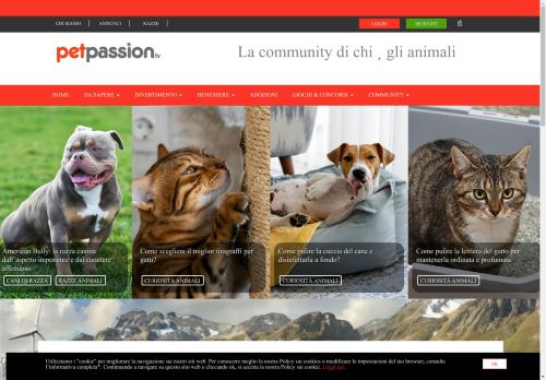 Petpassion | Foto, Video, Animali, Gatti, Cani, Cuccioli, Concorsi, Consigli