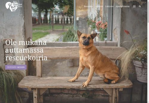 Ole mukana auttamassa rescuekoiria | Pet Rescue Finland ry