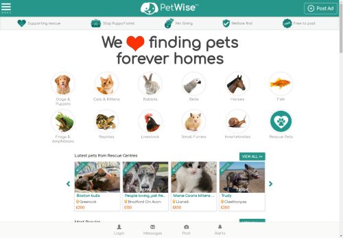 PetWise | Rehome dogs, puppies, cats, kittens & pets in the UK