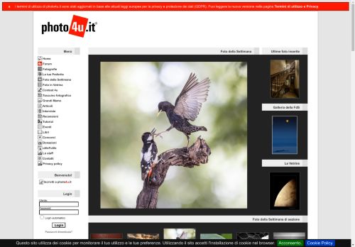 photo4u.it - il portale italiano della fotografia