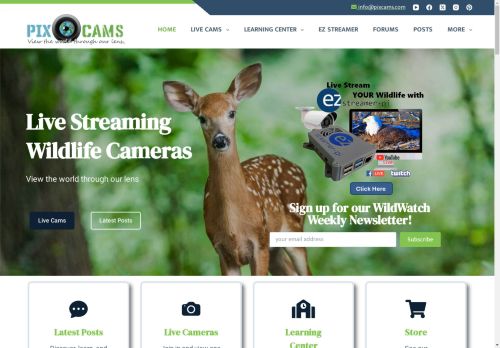 PixCams – Live Streaming Wildlife Cameras