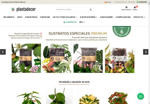 Plantadecor | Tienda Online de Plantas ⭐