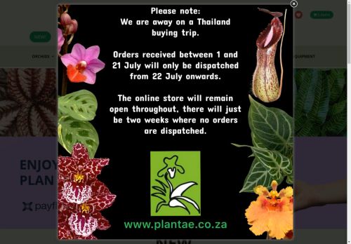 Plantae Orchids and Rare Plants -