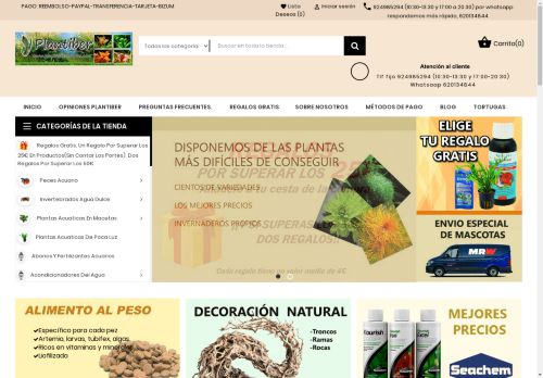 Plantas de acuarios, peces tropicales, plantas acuaticas, peces online, acuario plantado | Plantiber