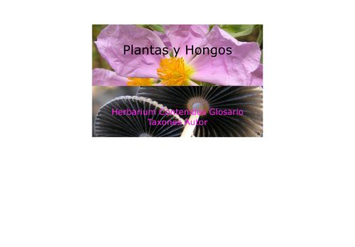 Plantas y Hongos