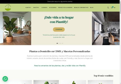 Plantify | Plantas a Domicilio en CDMX | Macetas Personalizadas