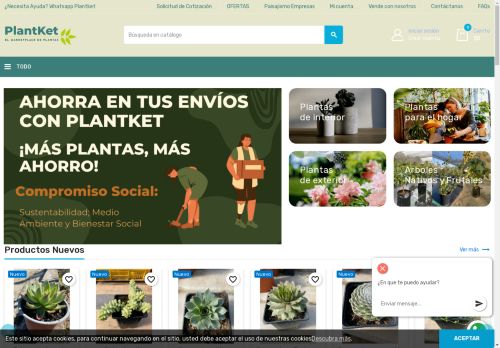 Plantas de interior y exterior a domicilio