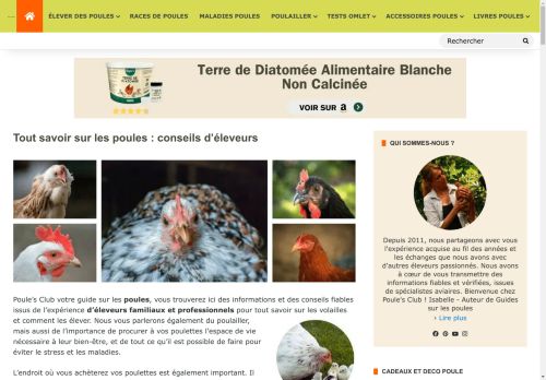 Tout savoir sur les poules : conseils d'éleveurs