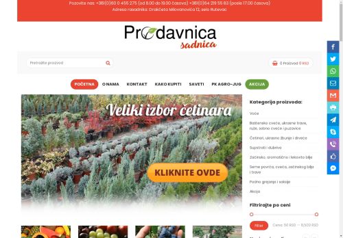 Prodaja sadnica, vocne sadnice, sadnice na prodaju, cetinari sadnica