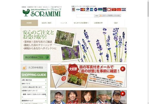 ハーブ苗の通販 無農薬・安心の専門店 | SORAMIMIハーブショップ