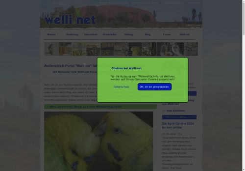 Wellensittich-Portal Welli.net :: Für alle, die Wellensittiche lieben