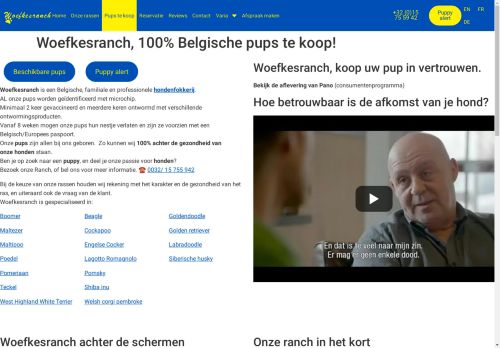 Woefkesranch, Belgisch hondenfokker, 100 % Belgische pups