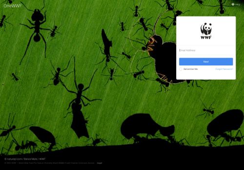 OneWWF - The global intranet for WWF